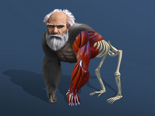 Idle Evolution From Cell to Human